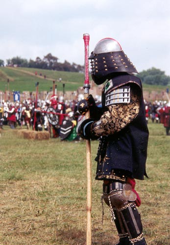 XXXI elam on the field